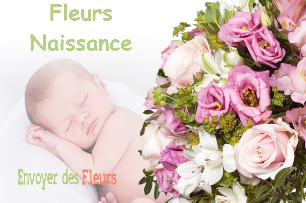 lIVRAISON FLEURS NAISSANCE à RAZECUEILLE